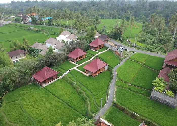 Ubud Sawah Scenery And Séjour chez l'habitant
