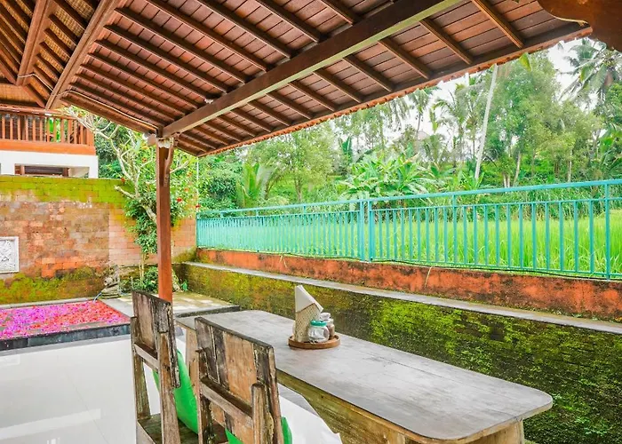 Ubud Sawah Scenery And * Tegallalang (Bali)