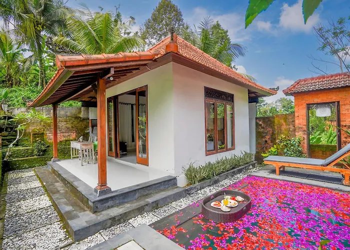Ubud Sawah Scenery And