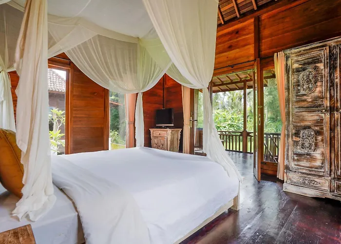 Ubud Sawah Scenery And