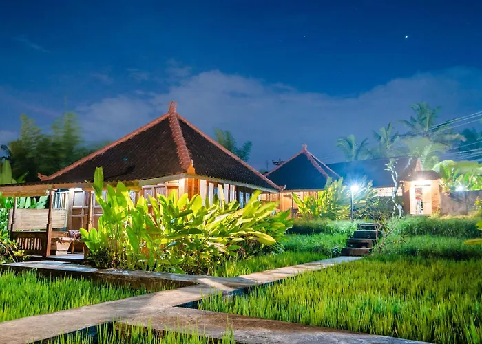 Alloggio in famiglia Ubud Sawah Scenery And