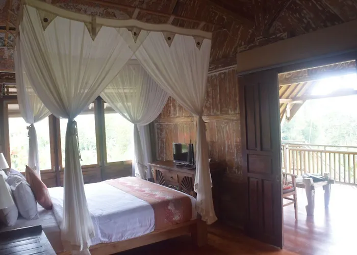 Ubud Sawah Scenery And