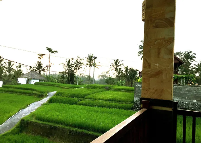 Ubud Sawah Scenery And *