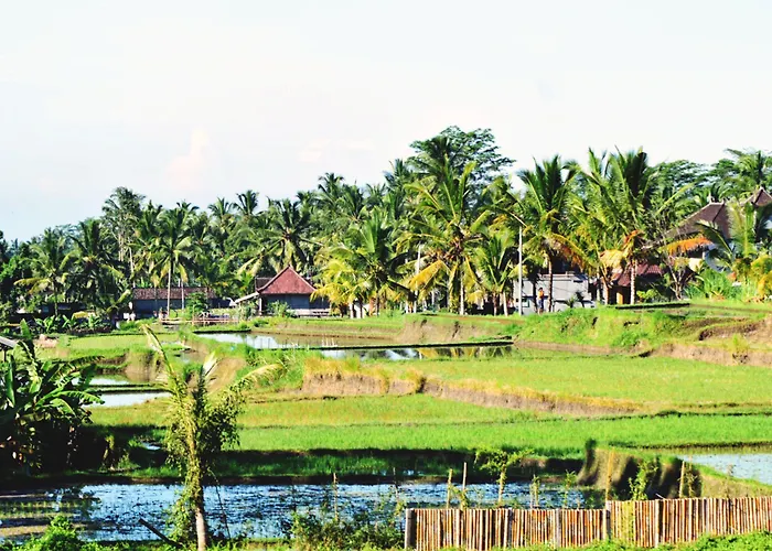 Ubud Sawah Scenery And * Tegallalang (Bali)