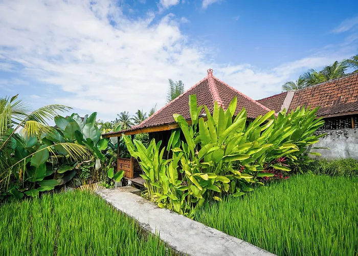 Séjour chez l'habitant Ubud Sawah Scenery And *