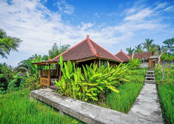 Ubud Sawah Scenery And Alloggio in famiglia *