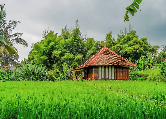 Ubud Sawah Scenery And * Tegallalang (Bali)