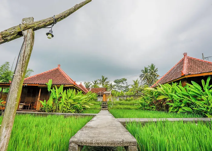 Ubud Sawah Scenery And Tegallalang (Bali)