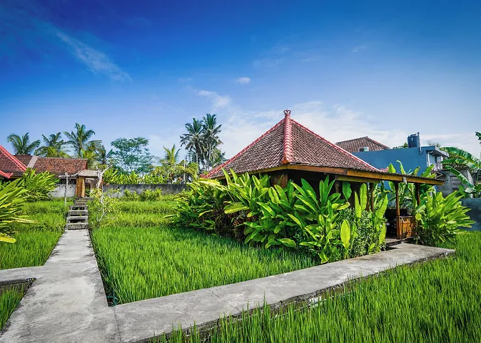Ubud Sawah Scenery And * Tegallalang (Bali)
