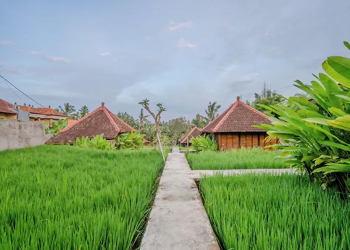 Ubud Sawah Scenery And Alloggio in famiglia *