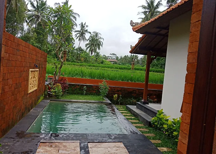 Ubud Sawah Scenery And