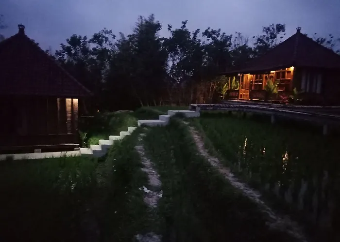 Alloggio in famiglia Ubud Sawah Scenery And
