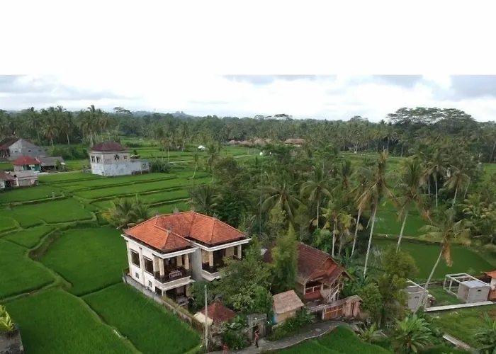 Alloggio in famiglia Ubud Sawah Scenery And