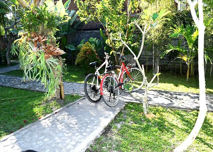 Ubud Sawah Scenery And