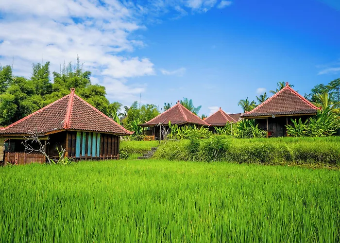 Séjour chez l'habitant Ubud Sawah Scenery And *