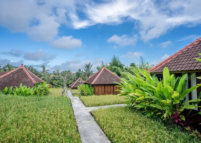 Ubud Sawah Scenery And Séjour chez l'habitant *