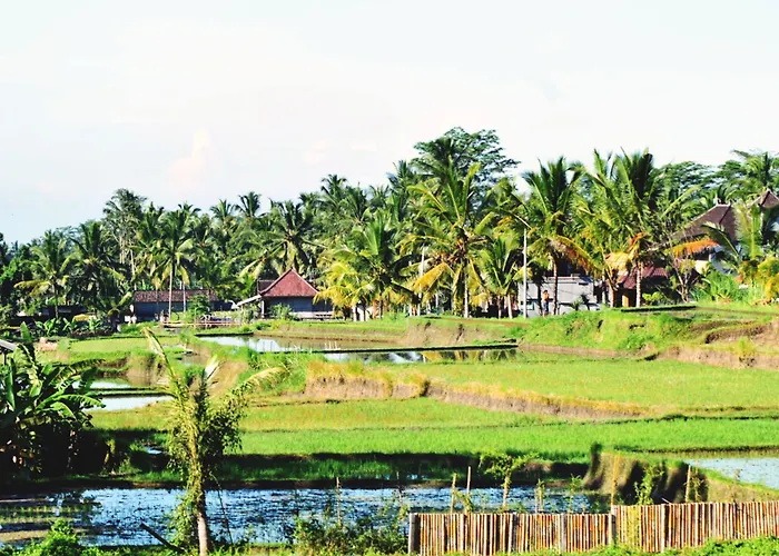 Ubud Sawah Scenery And Séjour chez l'habitant Tegallalang (Bali)