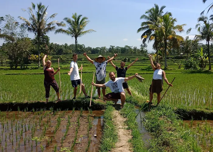 Séjour chez l'habitant Ubud Sawah Scenery And