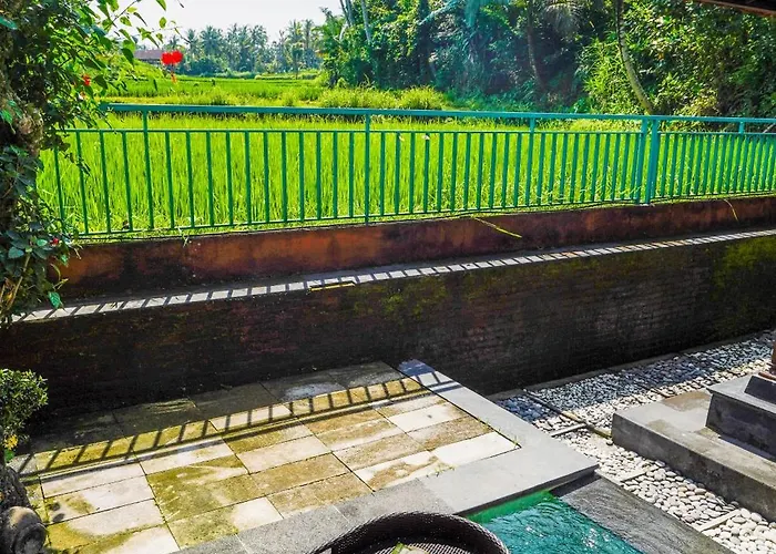 Ubud Sawah Scenery And Privatunterkunft