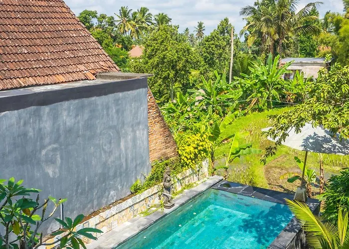 Ubud Sawah Scenery And