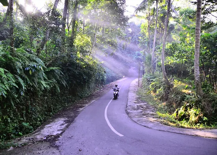 Ubud Sawah Scenery And *