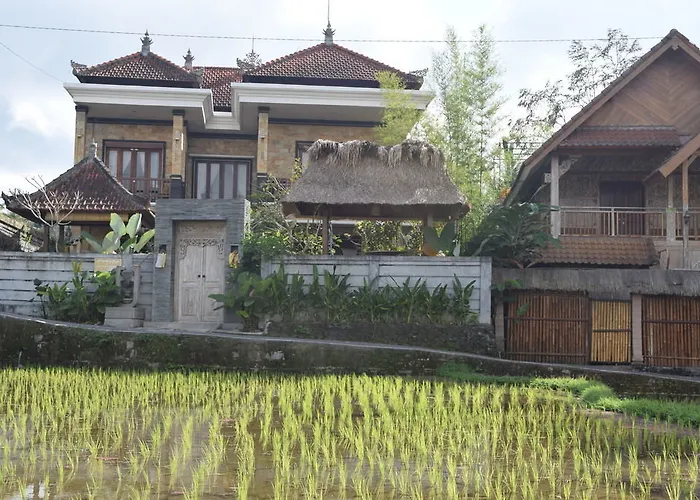Ubud Sawah Scenery And Tegallalang (Bali)