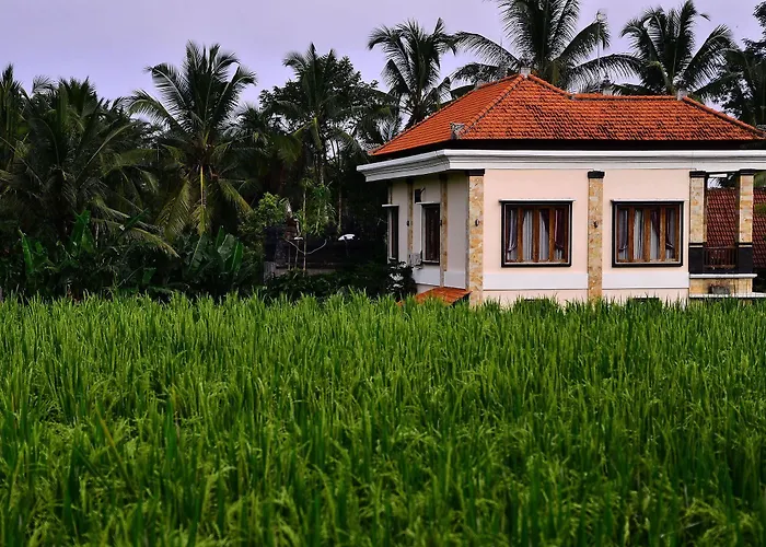 Ubud Sawah Scenery And Alloggio in famiglia Tegallalang (Bali)