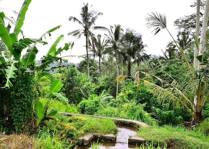Alloggio in famiglia Ubud Sawah Scenery And Tegallalang (Bali)