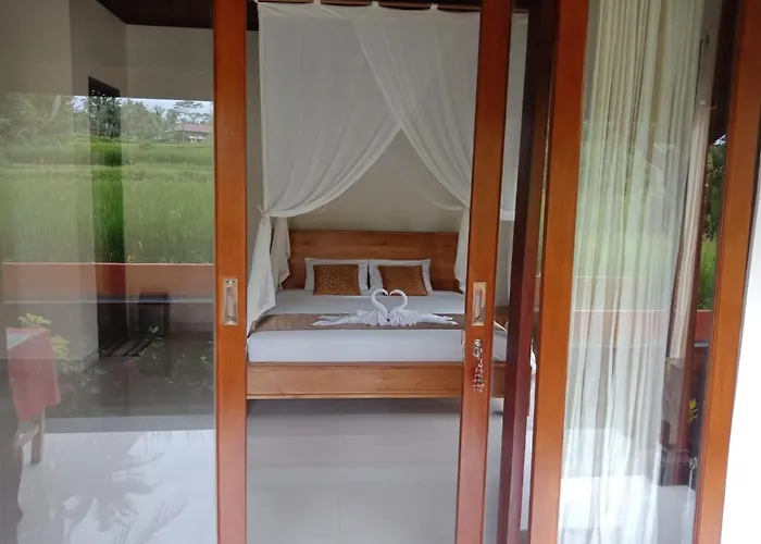 Ubud Sawah Scenery And