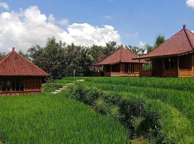 Ubud Sawah Scenery And Alloggio in famiglia *